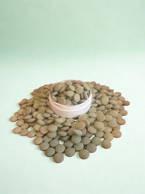 Chewable Tablets - Green Slushie - 50MG