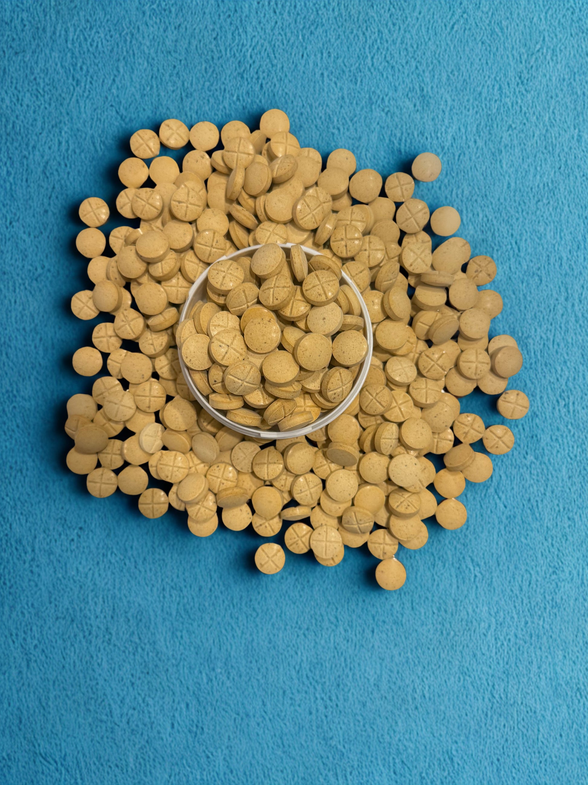 Chewable Tablets | Blueberry Pie 🥧| 40MG (MIT ONLY)